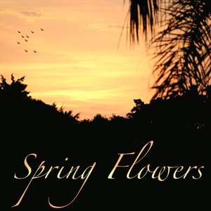 Spring Flowers