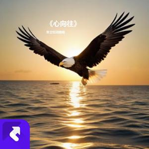 心向往 (现场)