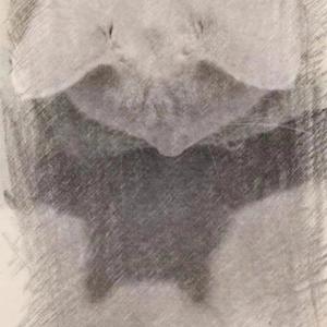 百鬼阴阳抄（柔情版）