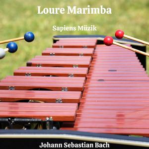 BWV 1006 (Gigue) Marimba Edition