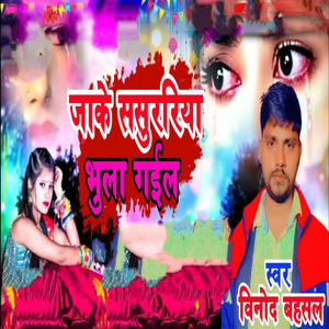 Jake Sasurariya Bhula Gail