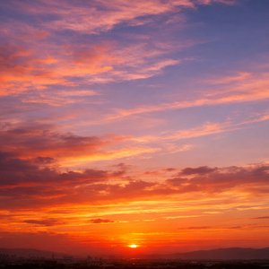 同じ空を見よう