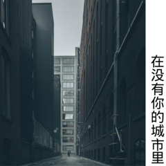 在没有你的城市里