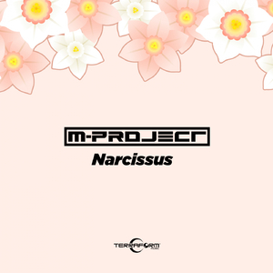 Narcissus