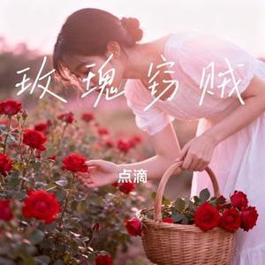玫瑰窃贼 (Cover 柳爽)