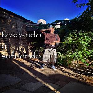 polaris 17 freestyle prod thrash