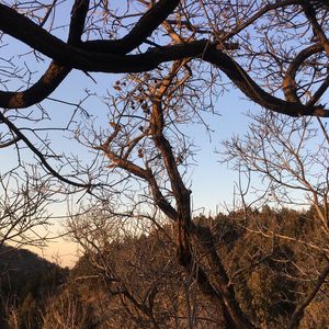 When The Dark Wave Swell