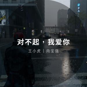 对不起，我爱你