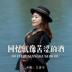 回忆就像苦涩的酒 (DJ默涵版)