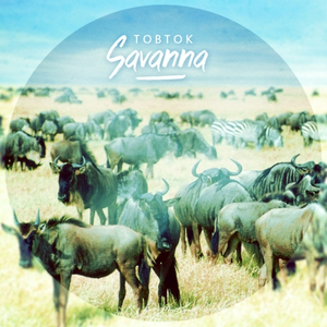 Savanna