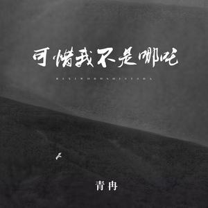 可惜我不是哪吒