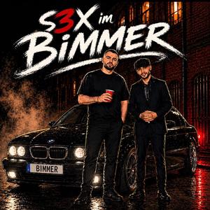 S3X im Bimmer (feat. Hi5oka)