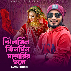 ঝিলমিল ঝিলমিল মশারির তলে