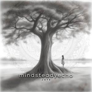 mindsteadyecho