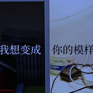 我想变成你的模样