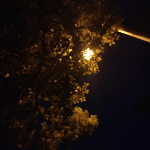 罗密欧-相濡以沫  不如相忘于江湖（顾单源 remix）