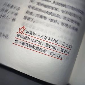 爱你是场雪，壮丽地毁灭