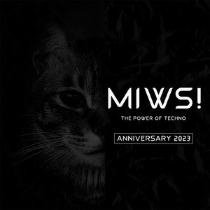 Paranoid 04019 (Original Mix)