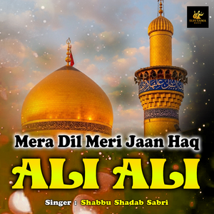 Mera Dil Meri Jaan Haq Ali Ali