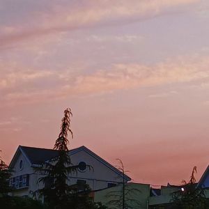 背靠斜阳满目黄昏
