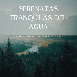 Murmullos Sedosos A Orillas Del Agua