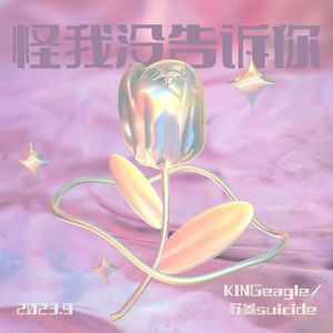 怪我没告诉你(prod.ANei）