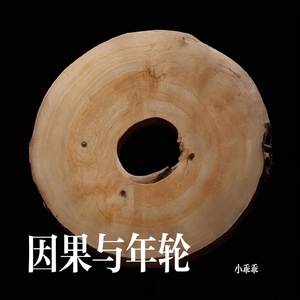 因果与年轮
