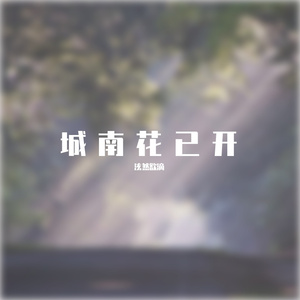 城南花已开