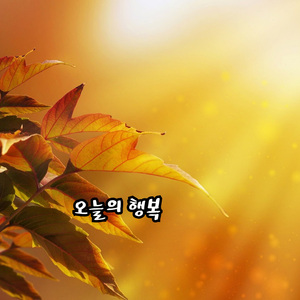 오늘의 행복