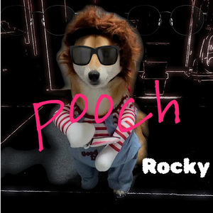 ネコになりたい