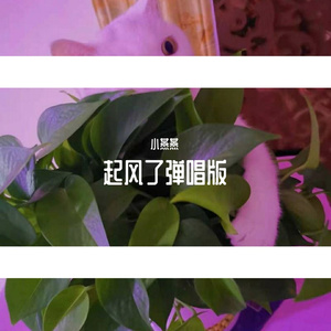 Mansas契约