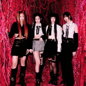 楼宇间盛开的玫瑰（Rose Blossom）（翻自H1-KEY）