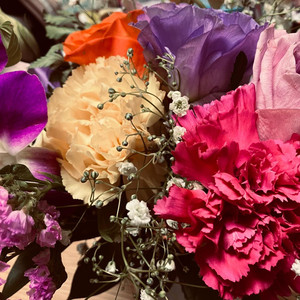 母なる揺り籠 2025年12月7日