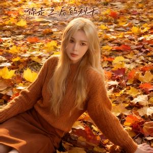 你走之后的秋天