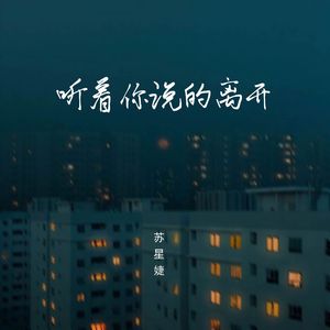 听着你说的离开