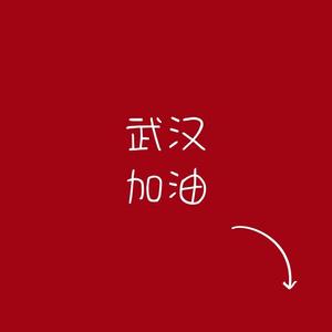 武汉伢—马强最终