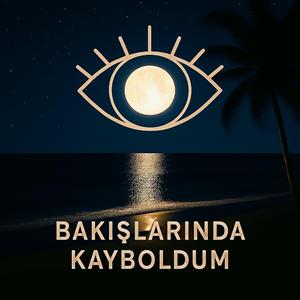 Bakışlarında Kayboldum