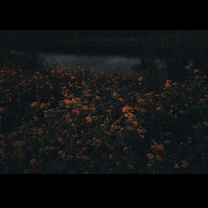 попід вікна