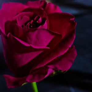 准备包袱（live版）