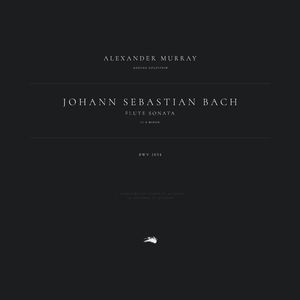 Flute Sonata in E Minor, BWV 1034: 3. Andante