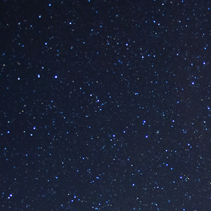 一字一句的认真