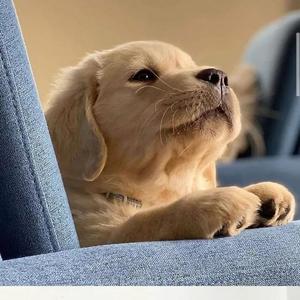 视频提取音频_哪里都是你1650194935940