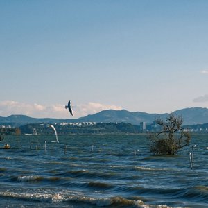 最怕在别人身上看见太多你的影子