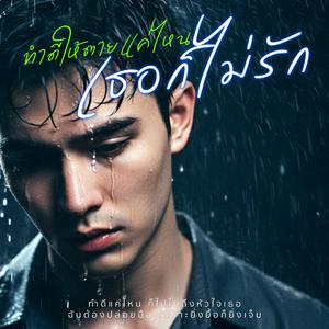 ทำดีให้ตายแค่ไหนเธอก็ไม่รัก