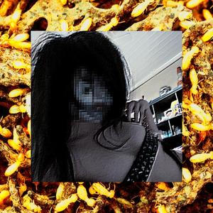 Termites (feat. 333toast)