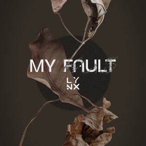 ผิดไปแล้ว (My Fault)