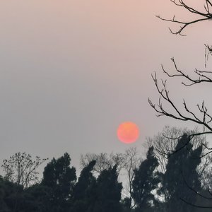 疼痛是成长的偏旁