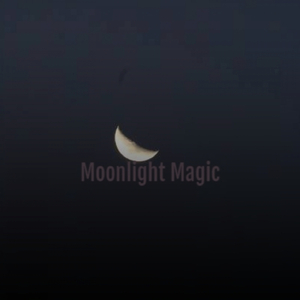 Moonlight Magic