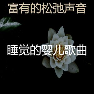 一尘不染声音印象数