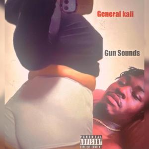 Gun Sounds